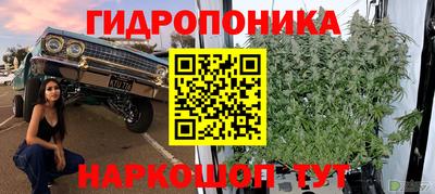 дурь Кандалакша
