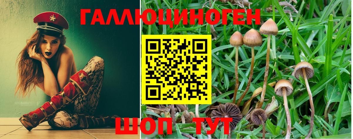 Галлюциногенные грибы мухоморы  магазин продажи   Тобольск  Вход с VPN 